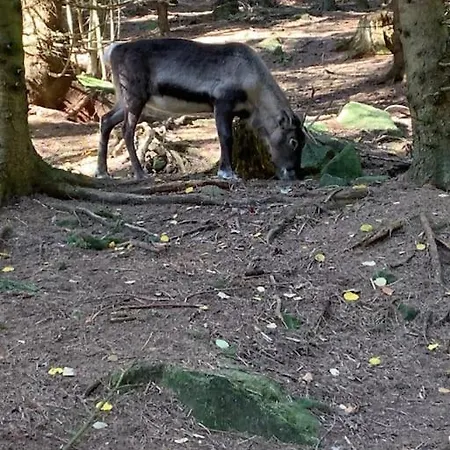 Alpesi faház Des Jonquilles - Au Calme, Bordant La Foret *