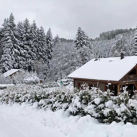 Des Jonquilles - Au Calme, Bordant La Foret * Gerbépal
