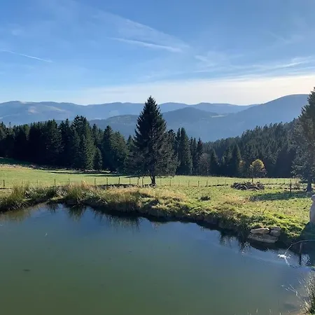 Des Jonquilles - Au Calme, Bordant La Foret