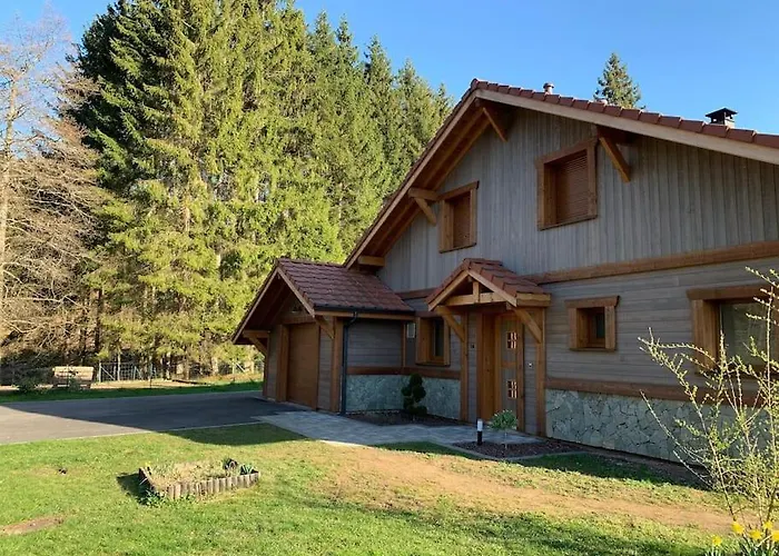 Des Jonquilles - Au Calme, Bordant La Foret * Gerbépal