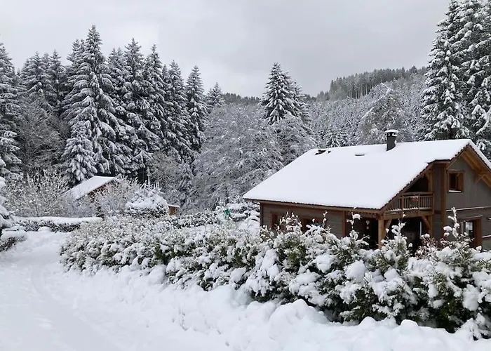 Des Jonquilles - Au Calme, Bordant La Foret * Gerbépal