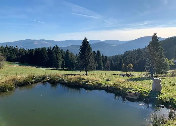 Des Jonquilles - Au Calme, Bordant La Foret